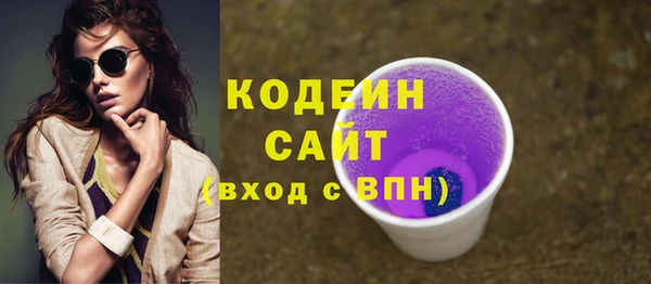 индика Волосово