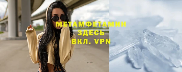 хмурый Верея
