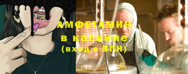 индика Волосово