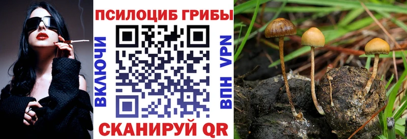 блэк спрут ONION  Орск  Галлюциногенные грибы мухоморы 